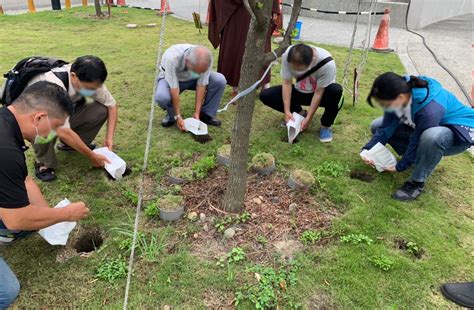 樹葬 風水|影／環保葬／風水師：樹葬生魂若不安寧 恐影響後代子孫運勢